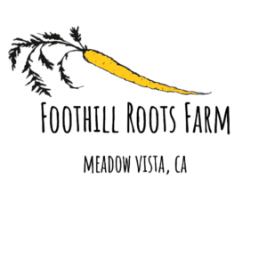 logo header 1 300x300